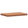 Encimera de baño madera maciza de haya 60x40x4 cm de , Encimeras - Ref: Foro24-356007, Precio: 65,06 €, Descuento: %