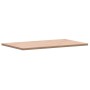 Encimera de baño madera maciza de haya 100x60x2,5 cm de , Encimeras - Ref: Foro24-355991, Precio: 84,70 €, Descuento: %