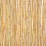 Bamboo fence 300x100 cm by vidaXL, fence panels - Ref: Foro24-142683, Price: 80,03 €, Discount: %