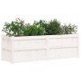 Jardinera madera maciza de pino blanco 150x50x50 cm de vidaXL, Maceteros y jardineras - Ref: Foro24-837485, Precio: 105,21 €,...