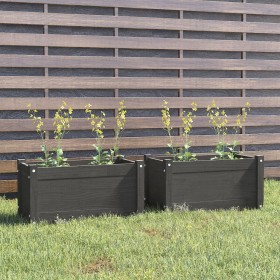 Planters 2 pcs solid gray pine wood 60x31x31 cm by vidaXL, Pots and planters - Ref: Foro24-810709, Price: 68,99 €, Discount: %