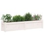 Outdoor planters 2 units solid white pine wood by vidaXL, Pots and planters - Ref: Foro24-837477, Price: 121,04 €, Discount: %