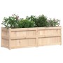 Jardinera de madera maciza de pino 150x50x50 cm de vidaXL, Maceteros y jardineras - Ref: Foro24-837484, Precio: 126,54 €, Des...