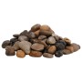 Polished pebbles mixed colors 10 kg 2-5 cm by vidaXL, Aquarium decoration - Ref: Foro24-155331, Price: 39,66 €, Discount: %