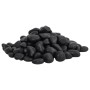 Guijarros pulidos negros 25 kg 2-5 cm de vidaXL, Decoración de acuarios - Ref: Foro24-155328, Precio: 65,99 €, Descuento: %