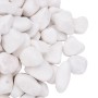 White polished pebbles 10 kg 2-5 cm by vidaXL, Aquarium decoration - Ref: Foro24-155329, Price: 49,45 €, Discount: %