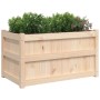 Outdoor planters 2 units solid pine wood by , Pots and planters - Ref: Foro24-837460, Price: 112,20 €, Discount: %