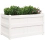 Outdoor planters 2 units solid white pine wood by , Pots and planters - Ref: Foro24-837462, Price: 133,99 €, Discount: %