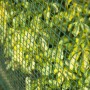 Nature Square Garden Screening Mesh Green 20x20 mm 1x3 m by , fence panels - Ref: Foro24-419794, Price: 50,77 €, Discount: %