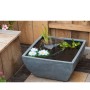 Ubbink 1387081 Square Pond with Water Pump and Water Lilies, Gray by , Accessories for ponds and fountains - Ref: Foro24-4037...