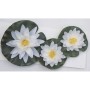 Ubbink 1387081 Square Pond with Water Pump and Water Lilies, Gray by , Accessories for ponds and fountains - Ref: Foro24-4037...