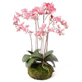 Emerald artificial orchid with pink moss 75 cm 417662 by , artificial flora - Ref: Foro24-414490, Price: 151,99 €, Discount: %