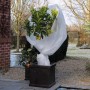 Nature White frost protection polar hibernation veil 30 g/m² 2x5 m by Nature, Gardening accessories - Ref: Foro24-434642, Pri...