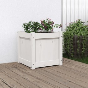 Jardinera madera maciza de pino blanco 40x40x40 cm de , Maceteros y jardineras - Ref: Foro24-837406, Precio: 40,46 €, Descuen...