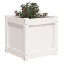 Solid white pine wood planter 40x40x40 cm by , Pots and planters - Ref: Foro24-837406, Price: 40,45 €, Discount: %