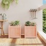 Garden planters 2 units solid Douglas wood by , Pots and planters - Ref: Foro24-837411, Price: 61,23 €, Discount: %