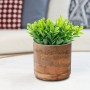 Home&Styling 3-piece flower pot set in solid natural mango wood by , Pots and planters - Ref: Foro24-447484, Price: 76,99 €, ...