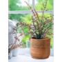 Home&Styling 3-piece flower pot set in solid natural mango wood by , Pots and planters - Ref: Foro24-447484, Price: 76,99 €, ...