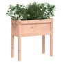 Jardineras con patas 2 uds madera maciza de abeto Douglas de , Maceteros y jardineras - Ref: Foro24-837561, Precio: 68,16 €, ...