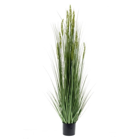 Emerald Planta de cereal artificial 150 cm de Emerald, Flora artificial - Ref: Foro24-423617, Precio: 115,66 €, Descuento: %