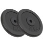 Cast iron weight plates 2 pcs 2x15 kg by vidaXL, free weight - Ref: Foro24-91396, Price: 128,90 €, Discount: %