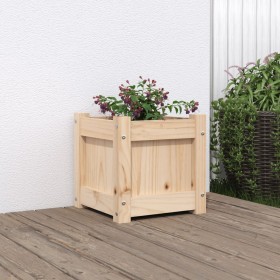 Jardinera madera maciza de pino 31x31x31 cm de , Maceteros y jardineras - Ref: Foro24-837394, Precio: 23,99 €, Descuento: %