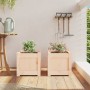 Outdoor planters 2 units solid pine wood by , Pots and planters - Ref: Foro24-837395, Price: 41,59 €, Discount: %