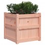 Garden planters 2 units solid Douglas wood by , Pots and planters - Ref: Foro24-837421, Price: 86,71 €, Discount: %