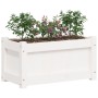 Jardinera de madera maciza de pino blanca 60x31x31 cm de , Maceteros y jardineras - Ref: Foro24-837441, Precio: 39,31 €, Desc...