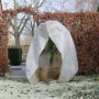 Nature Cubierta plantas invierno con cremallera blanco 3x2,5x2,5 m de Nature, Accesorios de jardinería - Ref: Foro24-423513, ...