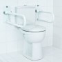 RIDDER Toilet support bar 55.5 cm 100 kg A0130101 by RIDDER, Safety handles - Ref: Foro24-421616, Price: 128,38 €, Discount: %