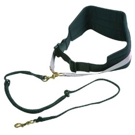 FLAMINGO Elastic Dog Leash Belt Canicross Black by FLAMINGO, Pet Leashes - Ref: Foro24-439620, Price: 53,99 €, Discount: %