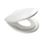 RIDDER Generation toilet seat soft close white 2119101 by RIDDER, Toilet and bidet seats - Ref: Foro24-421506, Price: 41,09 €...