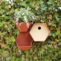 Capi Birdhouse Hive 1 round hole brown 19x23x20 cm by , Birdhouses - Ref: Foro24-447494, Price: 25,65 €, Discount: %