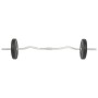 Barbell and weight set 30 kg by vidaXL, free weight - Ref: Foro24-91400, Price: 81,09 €, Discount: %