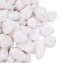 White polished pebbles 10 kg 2-5 cm by , Aquarium decoration - Ref: Foro24-3217192, Price: 49,99 €, Discount: %