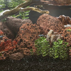 Red volcanic rocks 25 kg 10-30 cm by , Aquarium decoration - Ref: Foro24-3217187, Price: 81,99 €, Discount: %