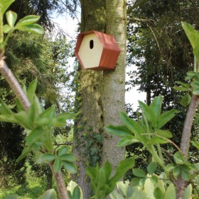 Capi Hive birdhouse 2 oval hole brown 19x23x20 cm by , Birdhouses - Ref: Foro24-447495, Price: 28,99 €, Discount: %