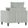 Sillón de terciopelo gris claro 60 cm de , Sofás - Ref: Foro24-359283, Precio: 164,41 €, Descuento: %