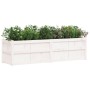 Jardinera de madera maciza de pino blanca 180x50x50 cm de , Maceteros y jardineras - Ref: Foro24-837505, Precio: 161,79 €, De...