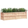 Jardinera de madera maciza de pino 180x50x50 cm de , Maceteros y jardineras - Ref: Foro24-837504, Precio: 147,68 €, Descuento: %