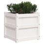 Solid white pine wood planter 50x50x50 cm by , Pots and planters - Ref: Foro24-837416, Price: 53,97 €, Discount: %