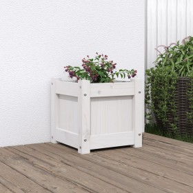 Jardinera de madera maciza de pino blanca 31x31x31 cm de , Maceteros y jardineras - Ref: Foro24-837396, Precio: 30,99 €, Desc...