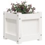 Jardinera de madera maciza de pino blanca 31x31x31 cm de , Maceteros y jardineras - Ref: Foro24-837396, Precio: 30,23 €, Desc...