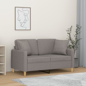 2-Sitzer-Sofa mit hellgrauen Stoffkissen 120 cm von , Sofas - Ref: Foro24-3200901, Preis: 233,61 €, Rabatt: %