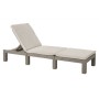 Keter Daytona lounger with cushion in cappuccino color by , Loungers - Ref: Foro24-441308, Price: 180,68 €, Discount: %