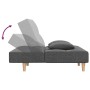 2-Sitzer-Schlafsofa mit zwei Kissen aus hellgrauem Stoff von , Sofas - Ref: Foro24-375792, Preis: 233,59 €, Rabatt: %