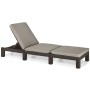 Keter Lounger with cushion Daytona brown by , Loungers - Ref: Foro24-420016, Price: 167,89 €, Discount: %