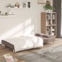 Two-seater sofa bed with two taupe gray fabric pillows. by , Sofas - Ref: Foro24-375798, Price: 232,15 €, Discount: %