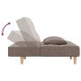 Sofá cama de 2 plazas con dos almohadas tela gris taupe de , Sofás - Ref: Foro24-375798, Precio: 232,15 €, Descuento: %